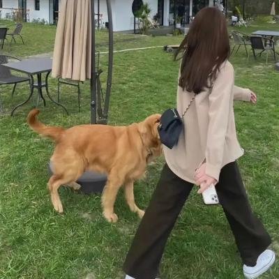 半妖的夜叉姬第二季